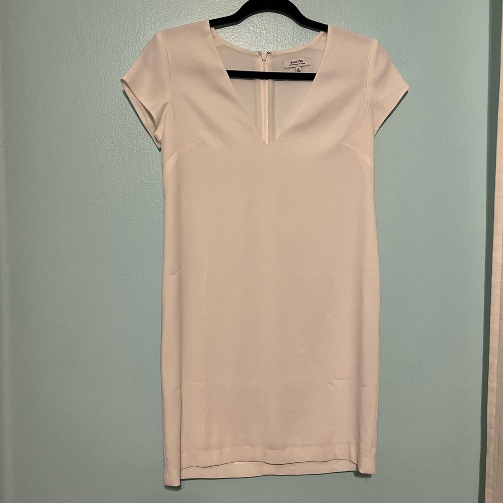 Cute Aritzia Babaton Dress
